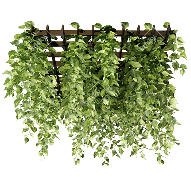 Epipremnum Hanging Plant Grid 3D model image 4