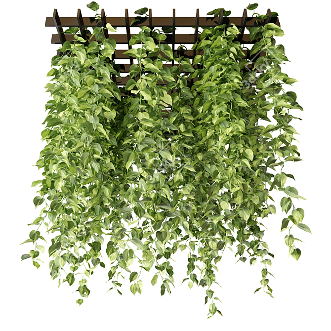 Epipremnum Hanging Plant Grid 3D model image 6