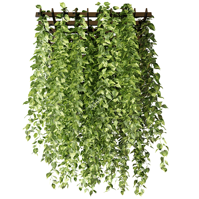 Epipremnum Hanging Plant Grid 3D model image 7