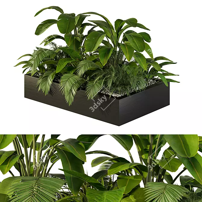 Tropical Jungle Indoor Plant Set 3D model image 1