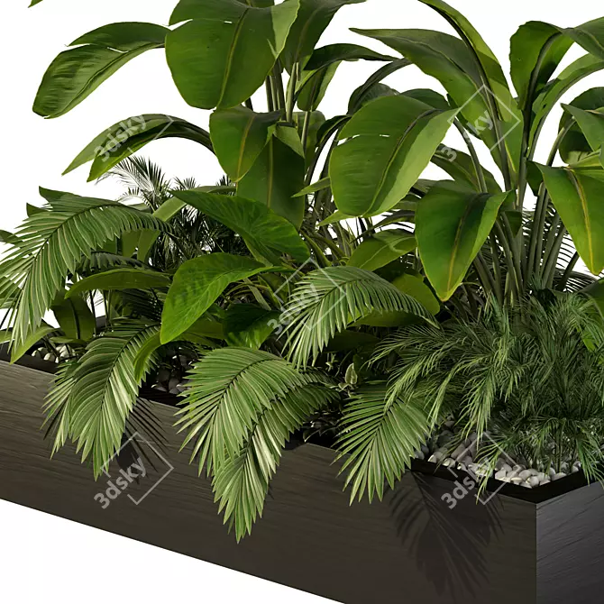 Tropical Jungle Indoor Plant Set 3D model image 3