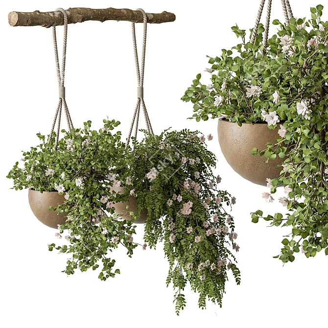 Urban Oasis Hanging Plant 527 3D model image 1