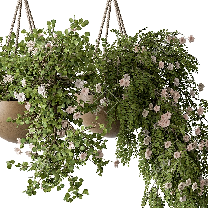 Urban Oasis Hanging Plant 527 3D model image 2