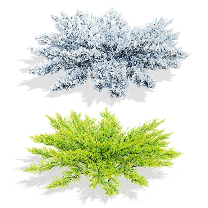 Lime Glow Juniperus Horizontalis Bushes 3D model image 3