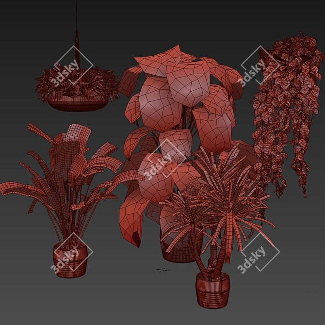 Quality Hanging Plant Collection - Palm, Banana, Monstera 3D model image 1