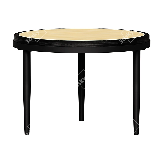  Hako Low Burned Black Coffee Table 3D model image 1