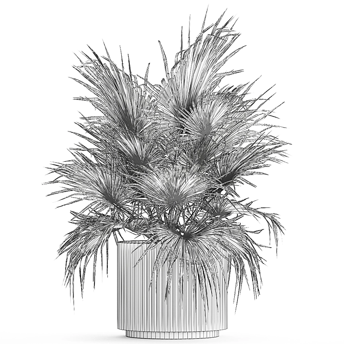 Tropical Palm Plant in Concrete Vase 3D model image 7