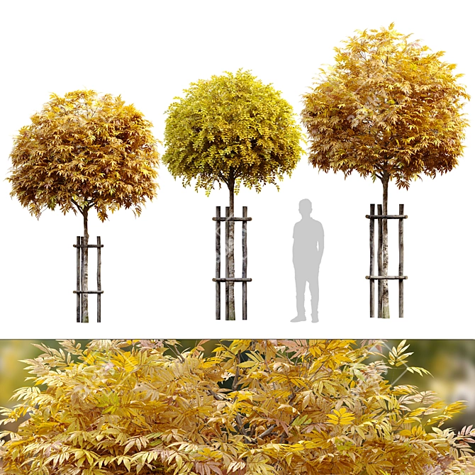 Wood Guarded Young Tree Trio 3D model image 1