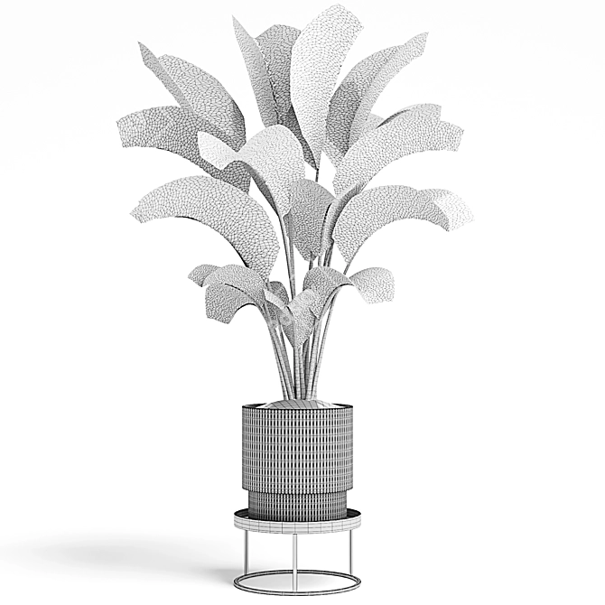 15 Indoor Plants Collection 3D model image 4