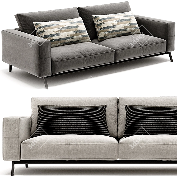 Flexform Ettore 2-Seat Sofa 3D model image 3