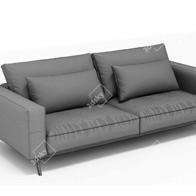 Flexform Ettore 2-Seat Sofa 3D model image 4