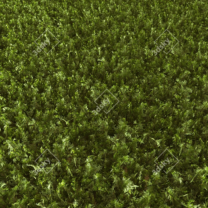 Grassy Textured Polygon Model 3D model image 1
