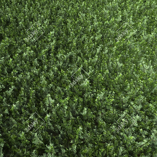 Grassy Textured Polygon Model 3D model image 2
