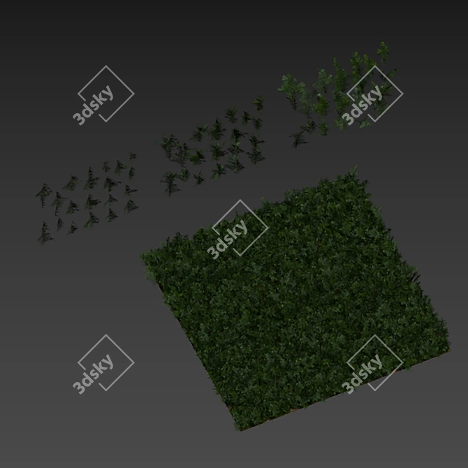 Grassy Textured Polygon Model 3D model image 4