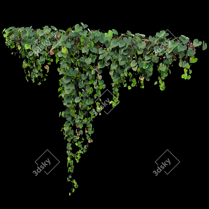 Triple Hanging Plant Collection 3D model image 4