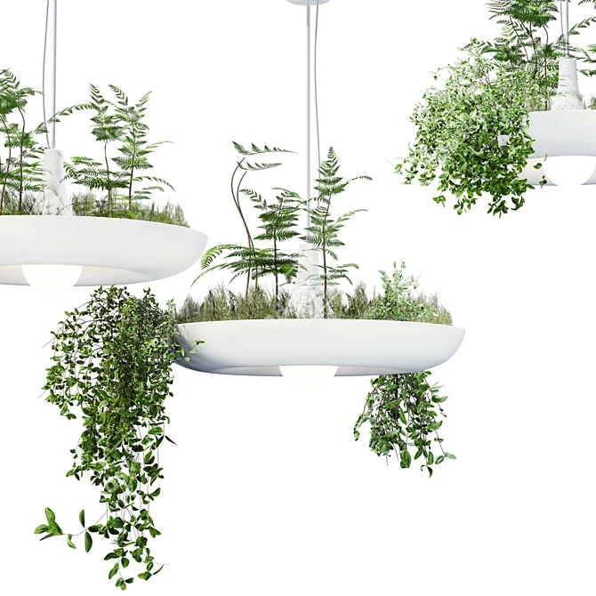 Modern Indoor Hanging Plant 3D model image 2