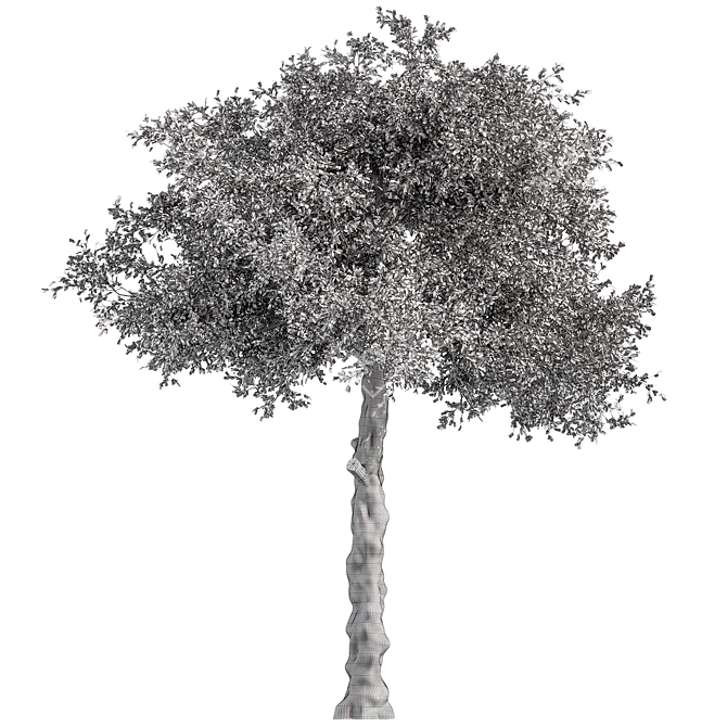 Sourwood Tree Set 177 3D model image 3