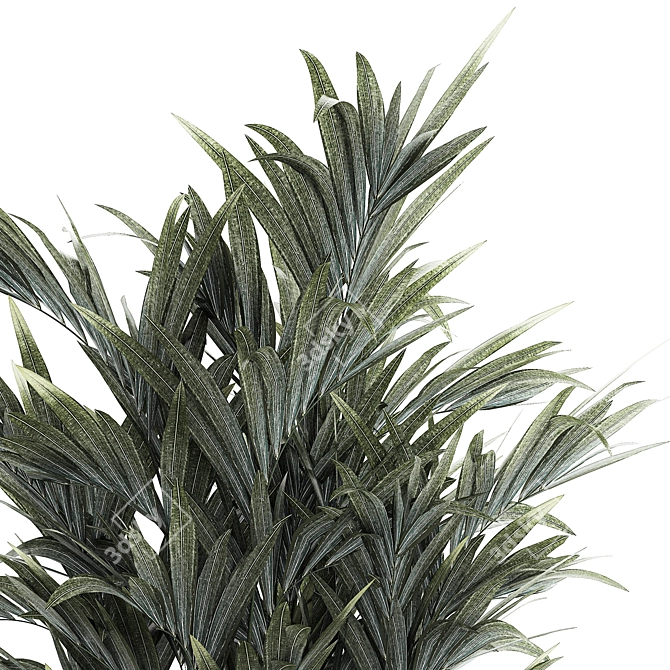 Exotic Tropical Palm Decor 3D model image 4