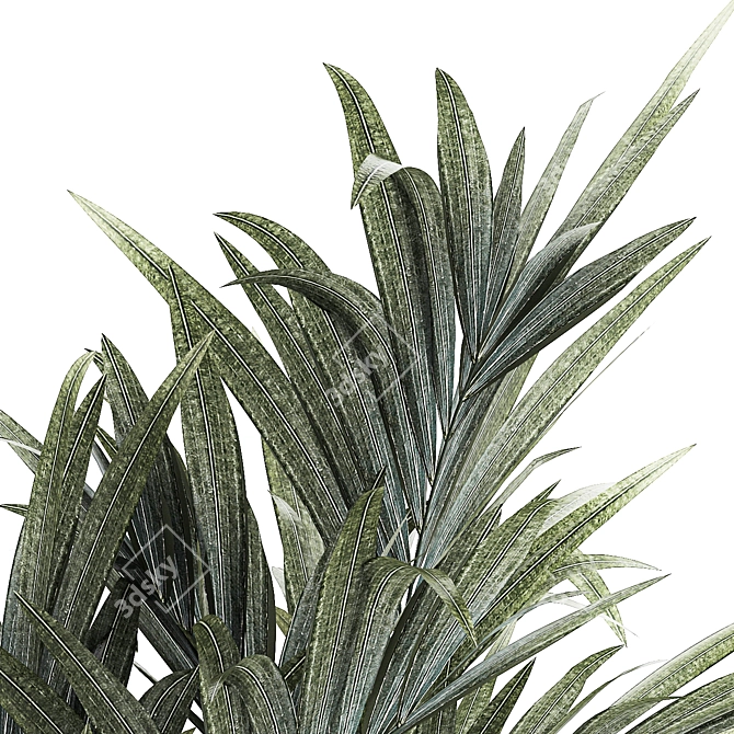 Exotic Tropical Palm Decor 3D model image 6