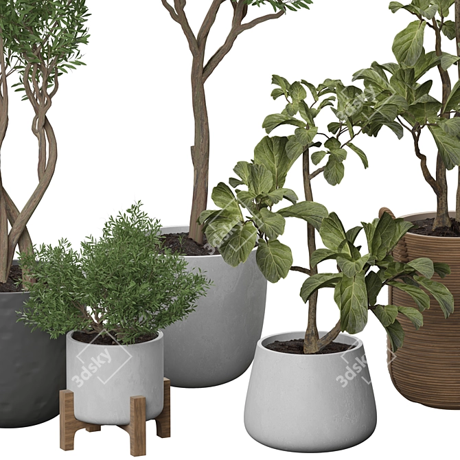 Green Oasis 3D Model Display 3D model image 2