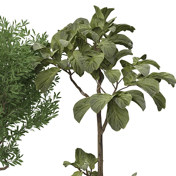 Green Oasis 3D Model Display 3D model image 3