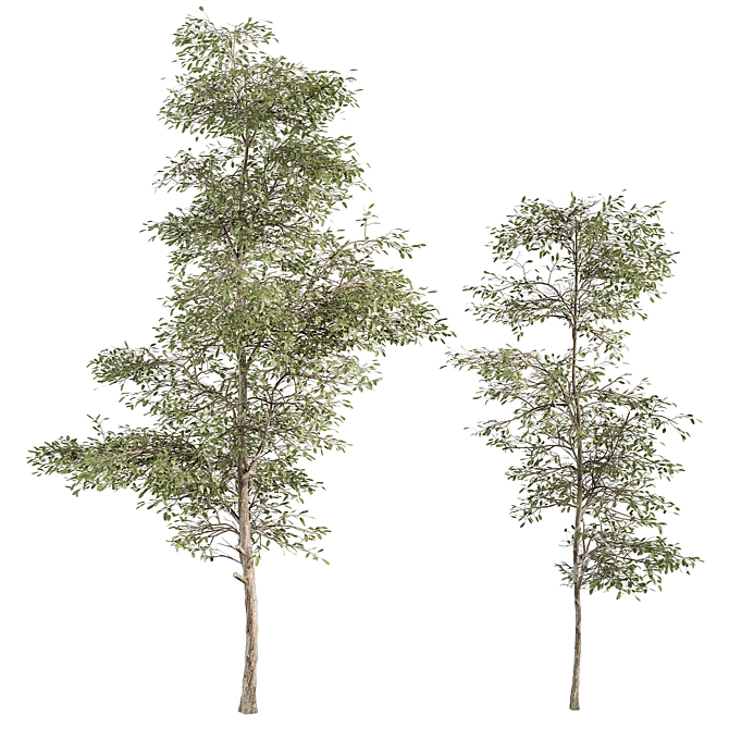 Tree Set 157: Sapling Collection 3D model image 1