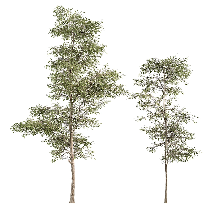 Tree Set 157: Sapling Collection 3D model image 2