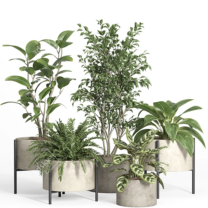52-Piece Indoor Plant Set 3D model image 1