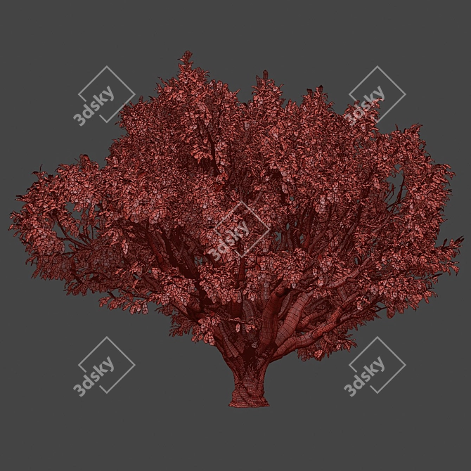 Tamarindus Tree 3D Model Collection 3D model image 6