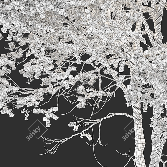 Black Cherry Tree Model (Spring) 3D model image 7