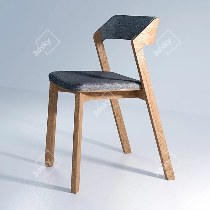 Tohma Scandinavian Style Lion-M Chair 3D model image 1