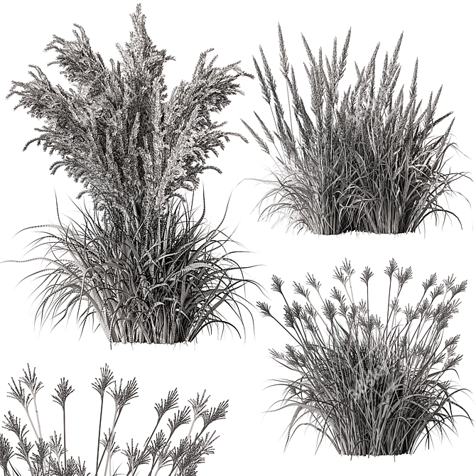 Assorted Tall Grass Collection - Set 22 3D model image 5