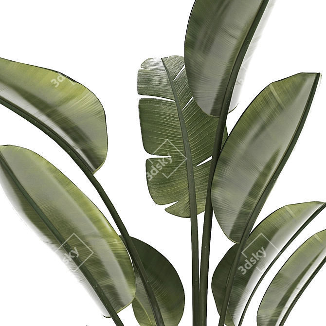 Exotic Plant Collection Concrete Decor 3D model image 4