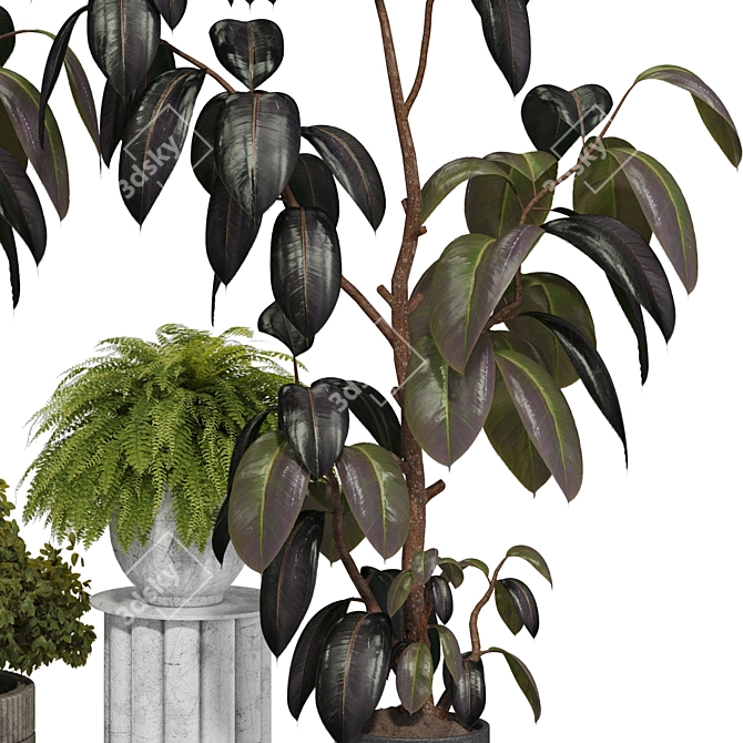 Indoor Plant 3D Model Set 3D model image 5