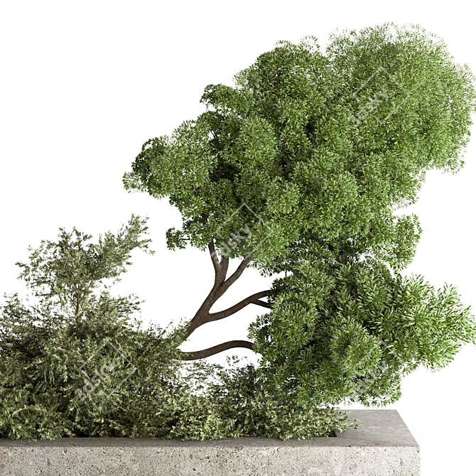 Lush Garden Tree Collection Set 3D model image 3