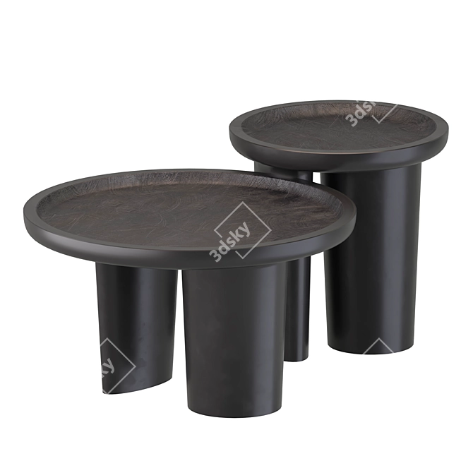 Baxter Calix Coffee Table Set 3D model image 1