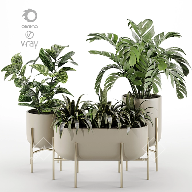 Versatile Indoor Plant Set 3D model image 1