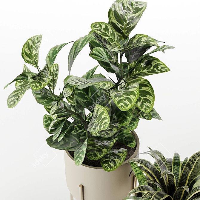 Versatile Indoor Plant Set 3D model image 3