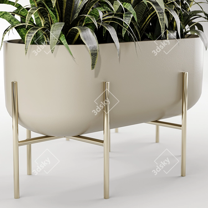 Versatile Indoor Plant Set 3D model image 4