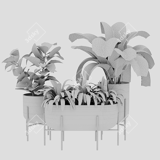 Versatile Indoor Plant Set 3D model image 5