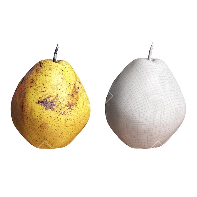 Pear-fection: 4 Realistic Pears 3D model image 2