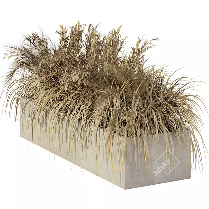 Natural Outdoor Pampas Grass Decor 3D model image 4