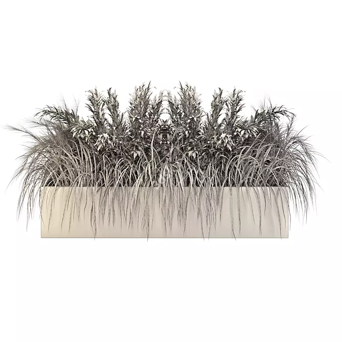 Natural Outdoor Pampas Grass Decor 3D model image 5