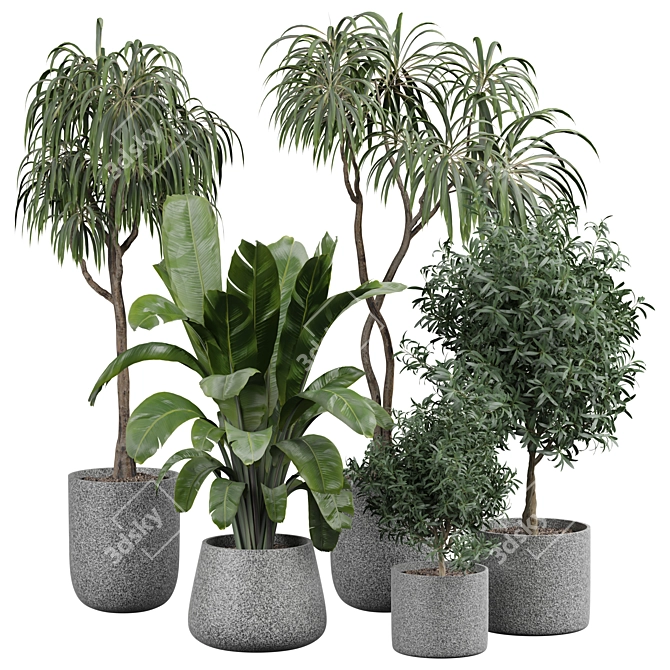 Luxury Indoor Plant Model 322 3D model image 1