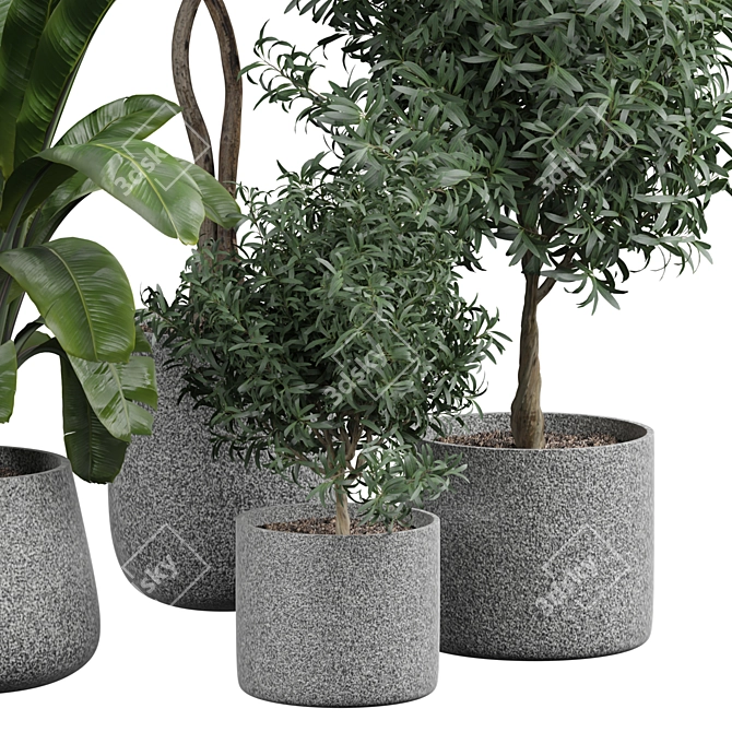 Luxury Indoor Plant Model 322 3D model image 2