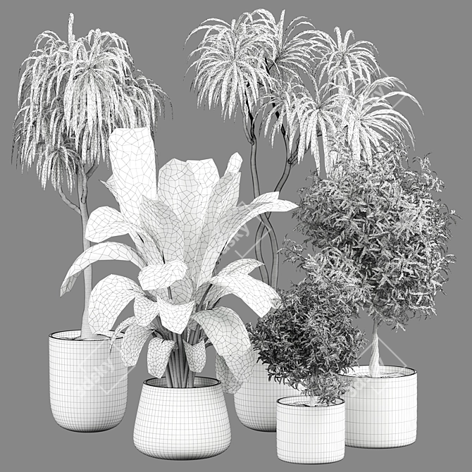 Luxury Indoor Plant Model 322 3D model image 4