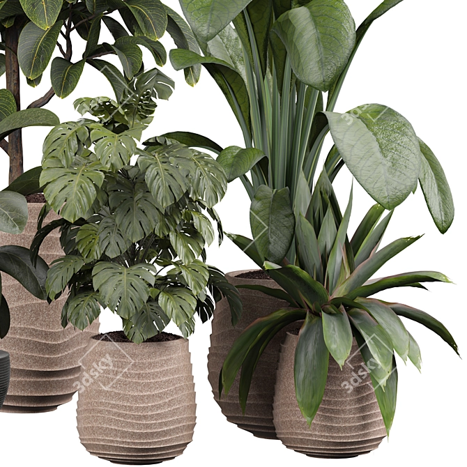 Lush Indoor Plant 3D Model 3D model image 2