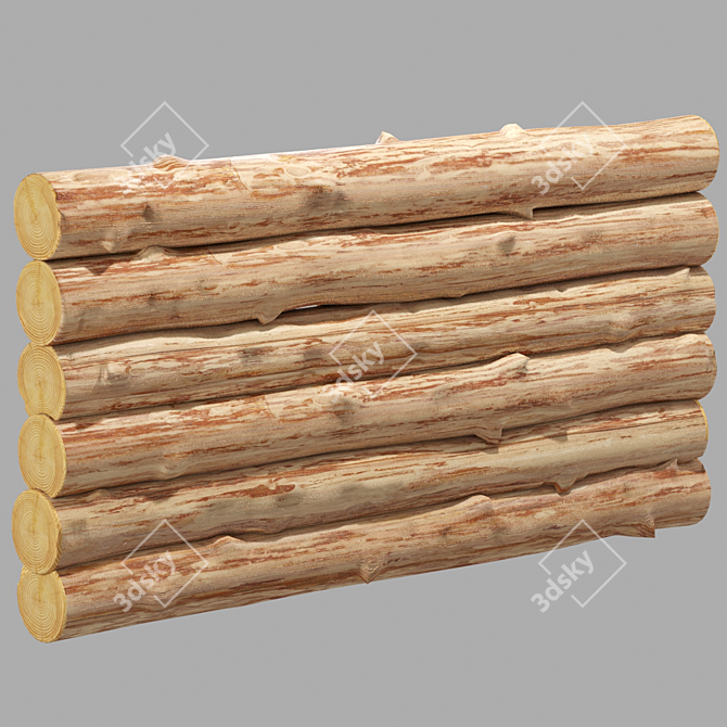 10-Piece Log Set, 3000x300 3D model image 2