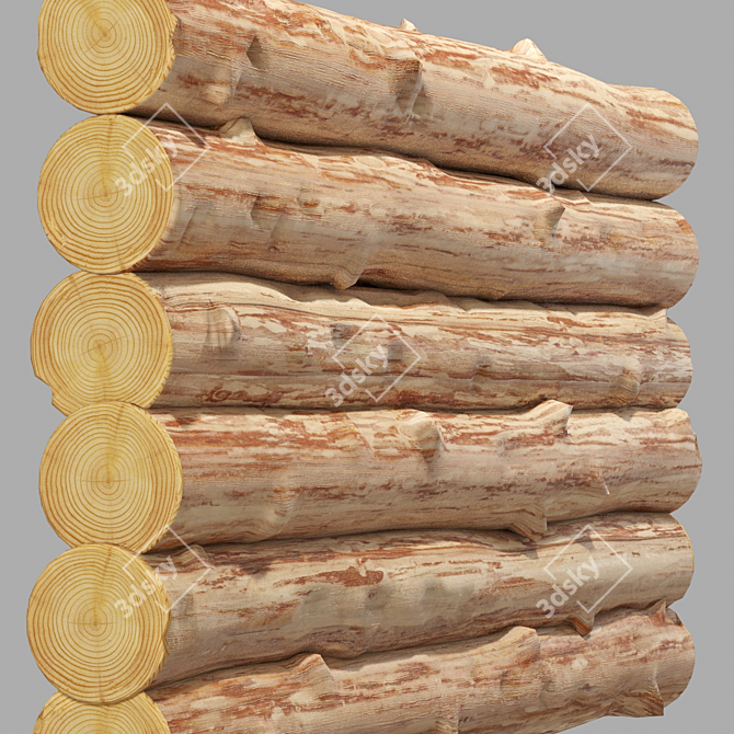 10-Piece Log Set, 3000x300 3D model image 3