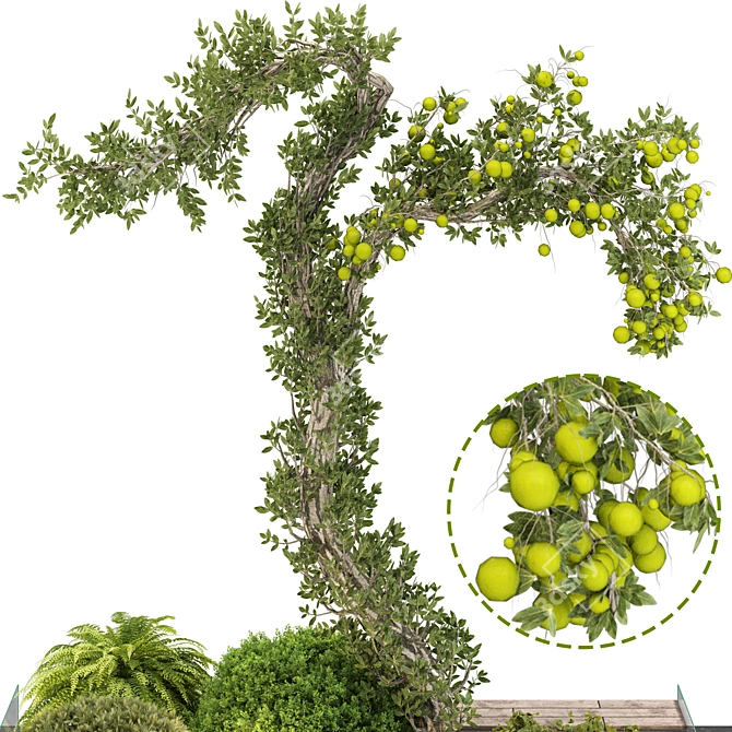 Garden Tree & Bush Set 153 3D model image 8